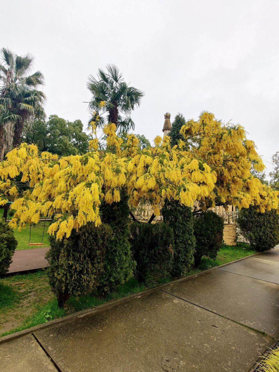 Гостиница У Заполярья Сочи-46