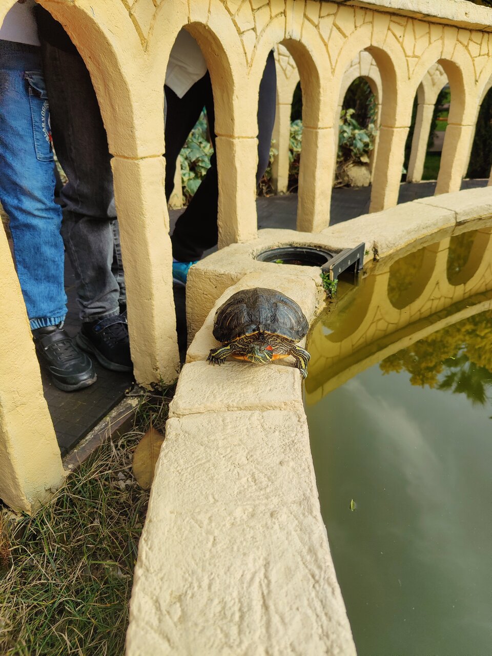 Гостиница У Заполярья Сочи-64