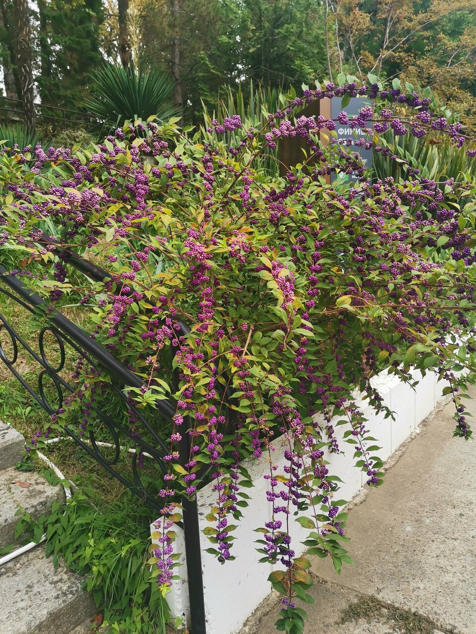 Гостиница У Заполярья Сочи-232