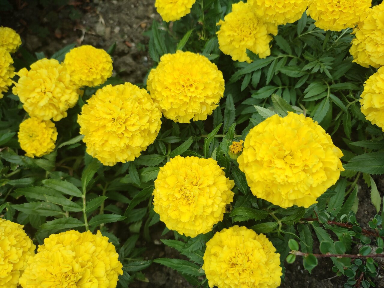 Гостиница У Заполярья Сочи-98