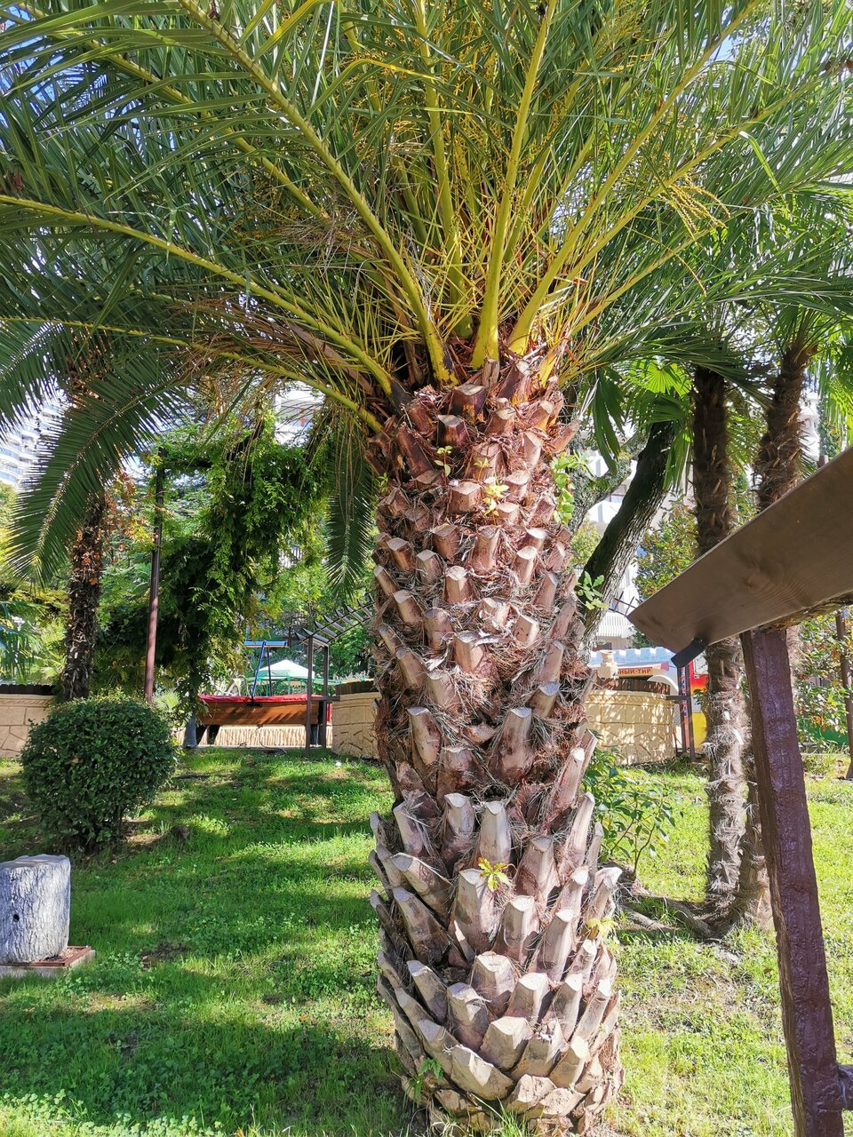 Гостиница У Заполярья Сочи-240