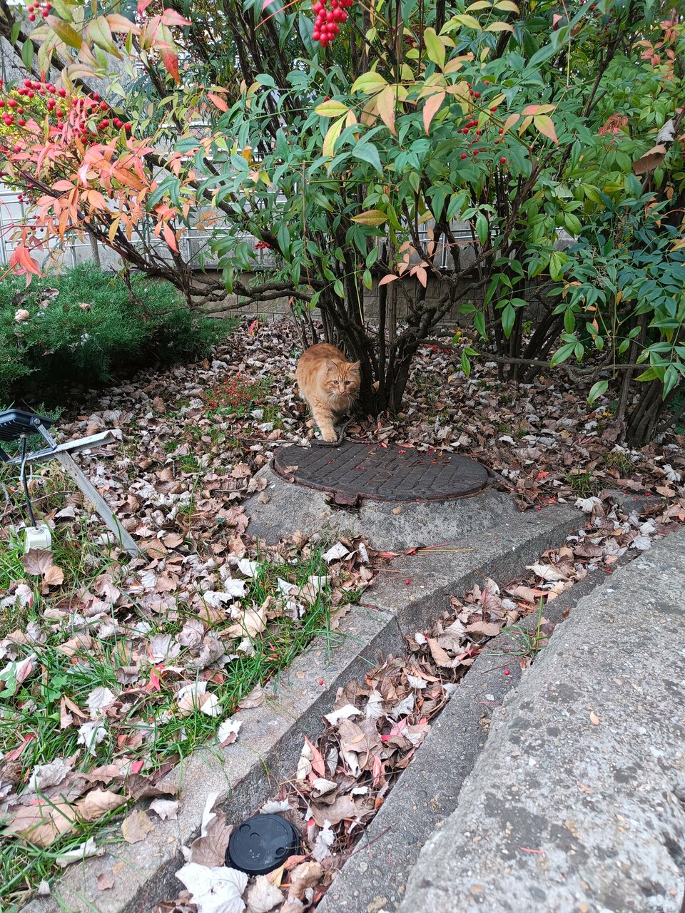 Гостиница У Заполярья Сочи-113