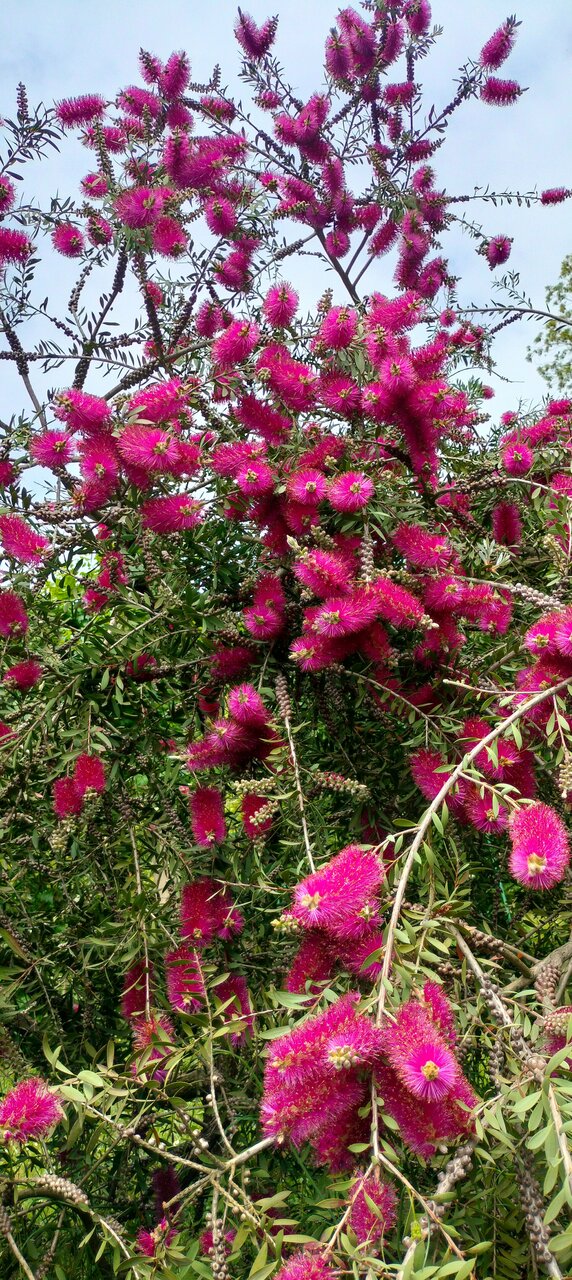 Гостиница У Заполярья Сочи-219