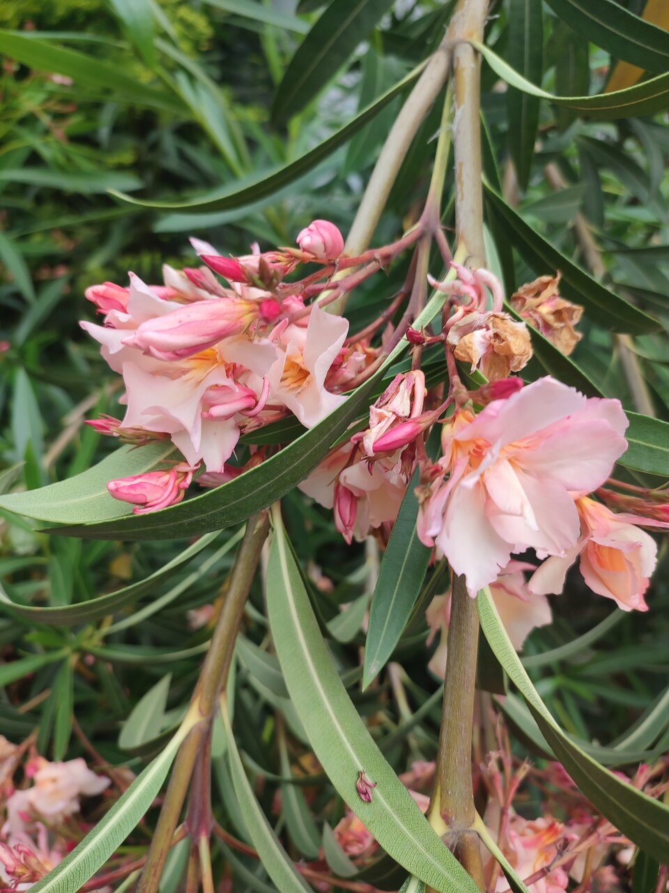 Гостиница У Заполярья Сочи-119