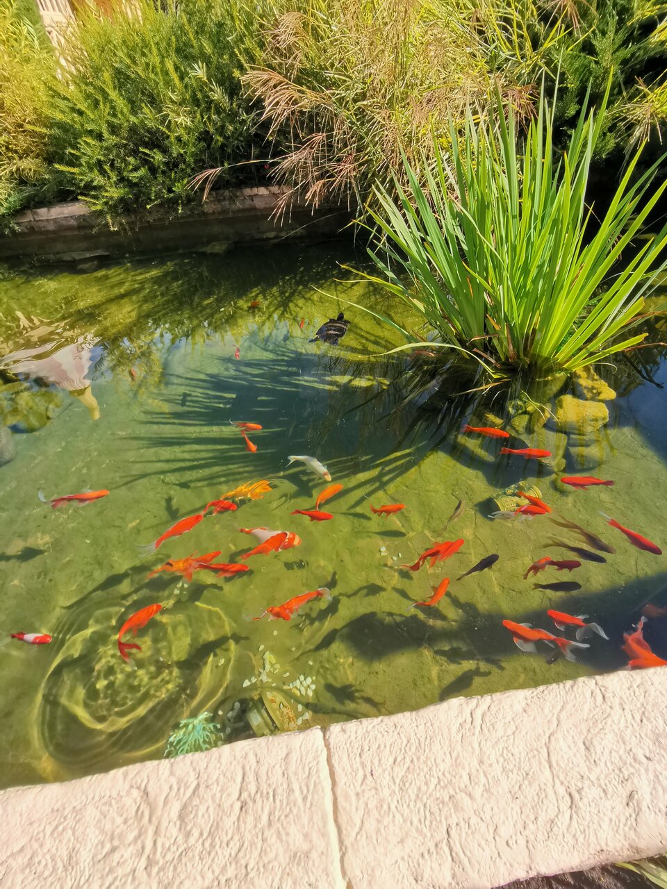 Гостиница У Заполярья Сочи-209