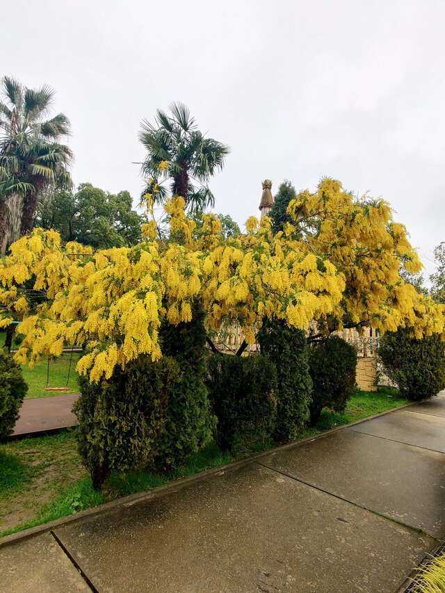 Гостиница У Заполярья Сочи-45