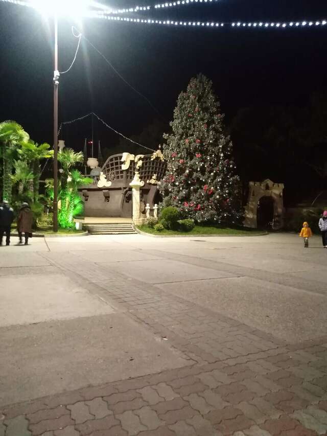 Гостиница У Заполярья Сочи-84