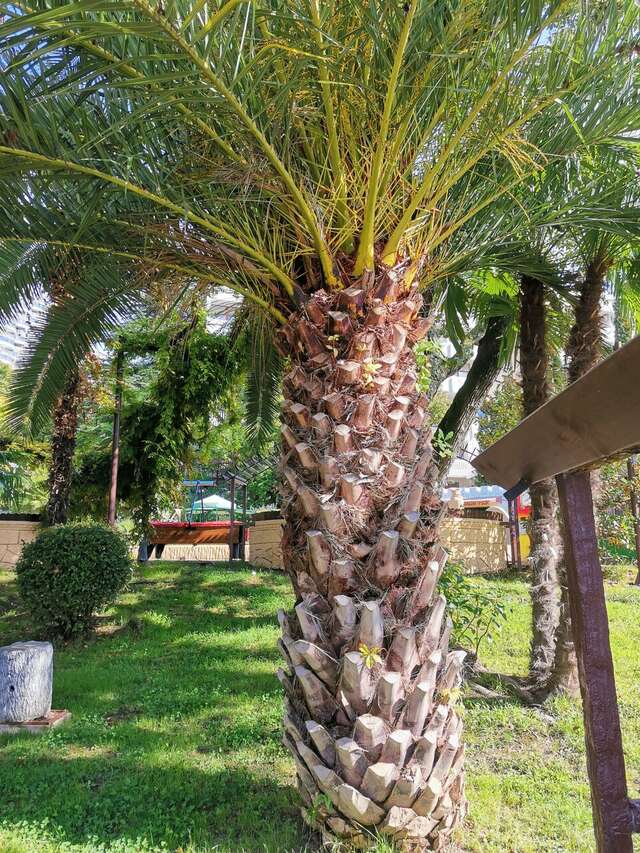 Гостиница У Заполярья Сочи-239