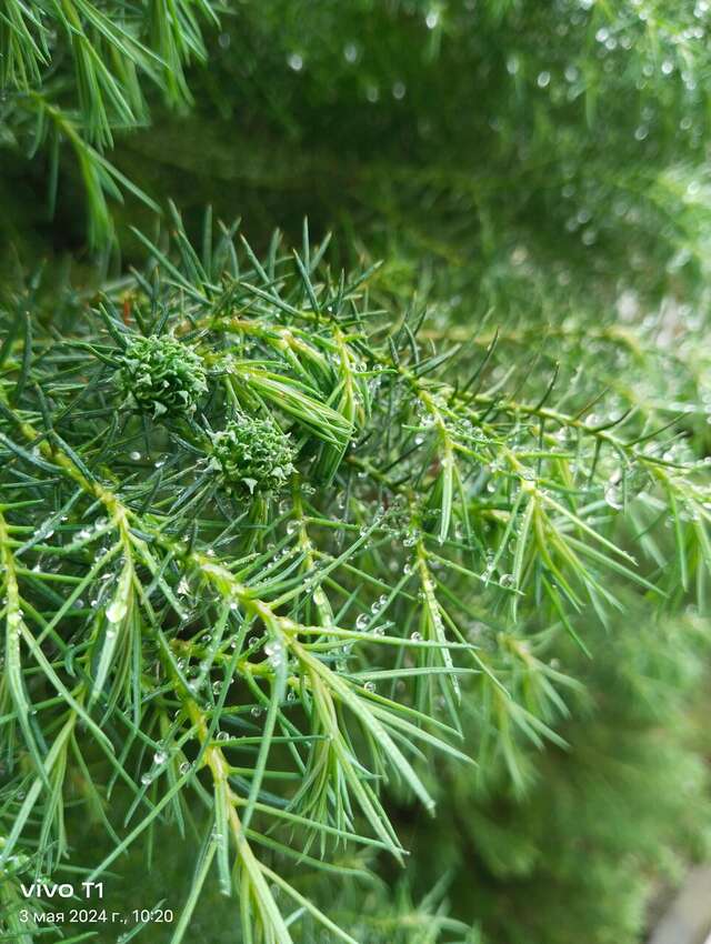 Гостиница У Заполярья Сочи-229