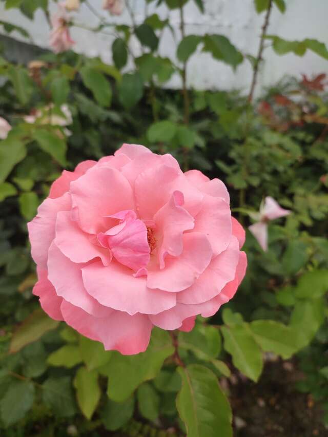 Гостиница У Заполярья Сочи-115