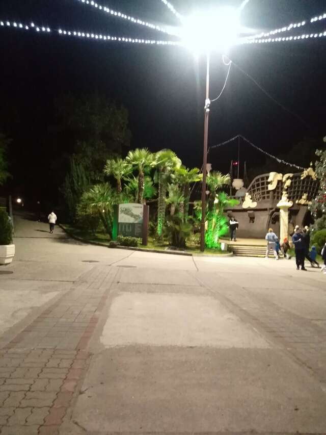 Гостиница У Заполярья Сочи-100