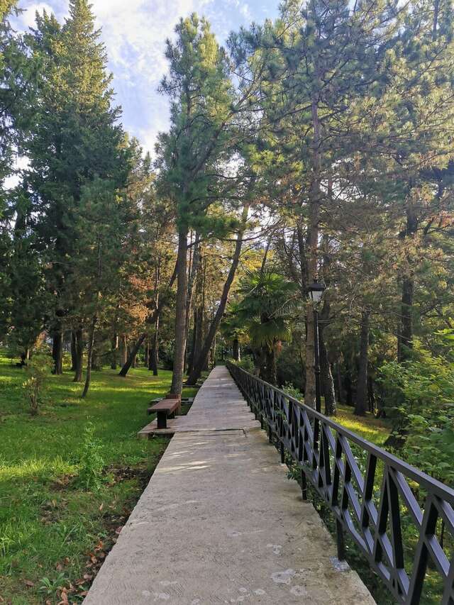 Гостиница У Заполярья Сочи-214