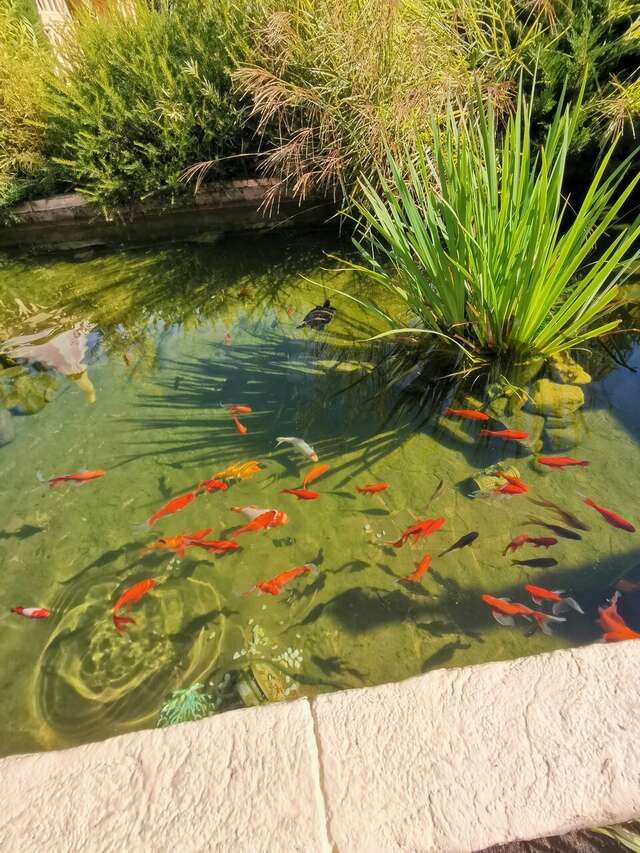 Гостиница У Заполярья Сочи-208