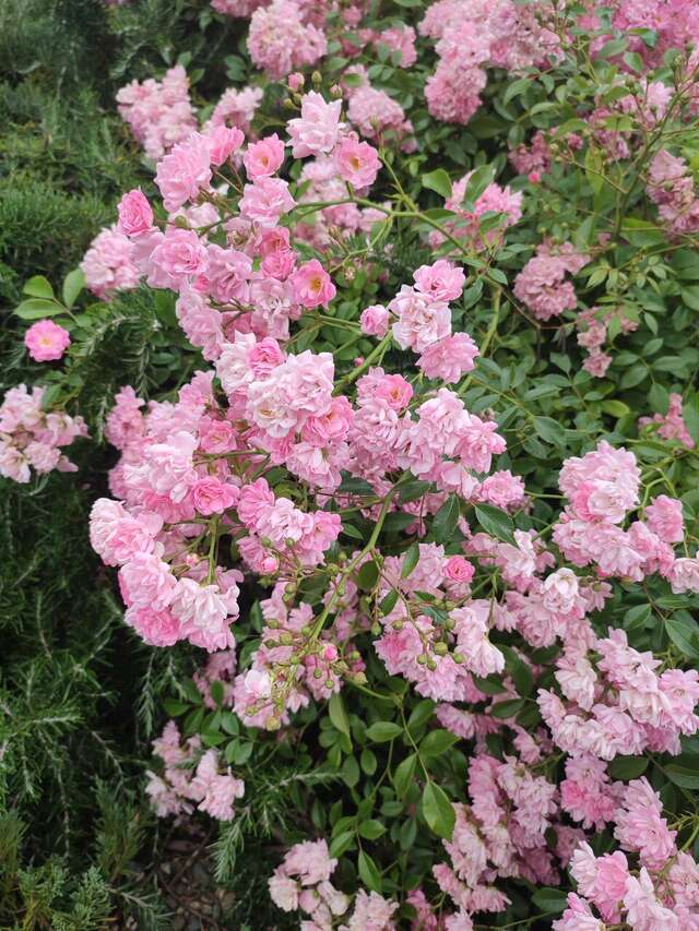 Гостиница У Заполярья Сочи-87